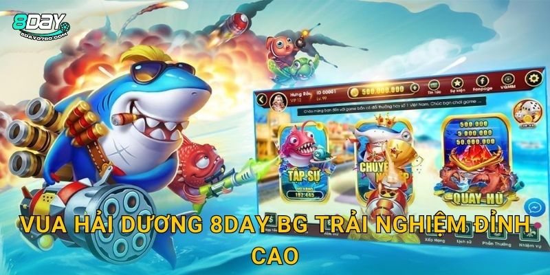 Vua Hải Dương 8day bg trải nghiệm đỉnh cao