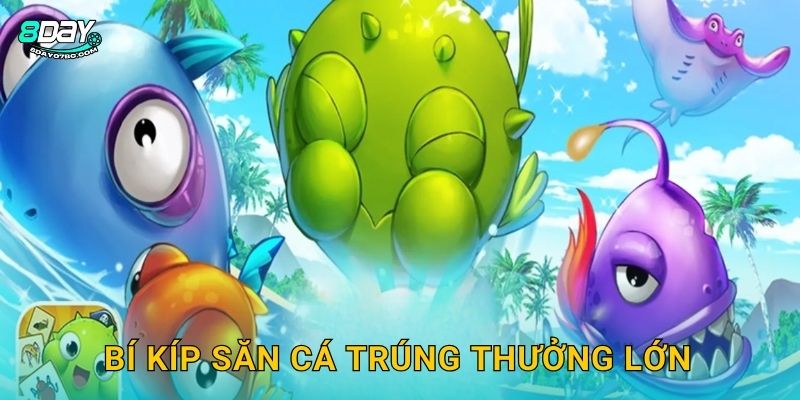 Bí kíp săn cá trúng thưởng lớn