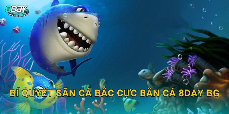 Bắc Cực Bắn Cá 8day bg - Vùng Băng Giá Kho Báu 3 Bí quyết săn cá Bắc Cực Bắn Cá 8day bg